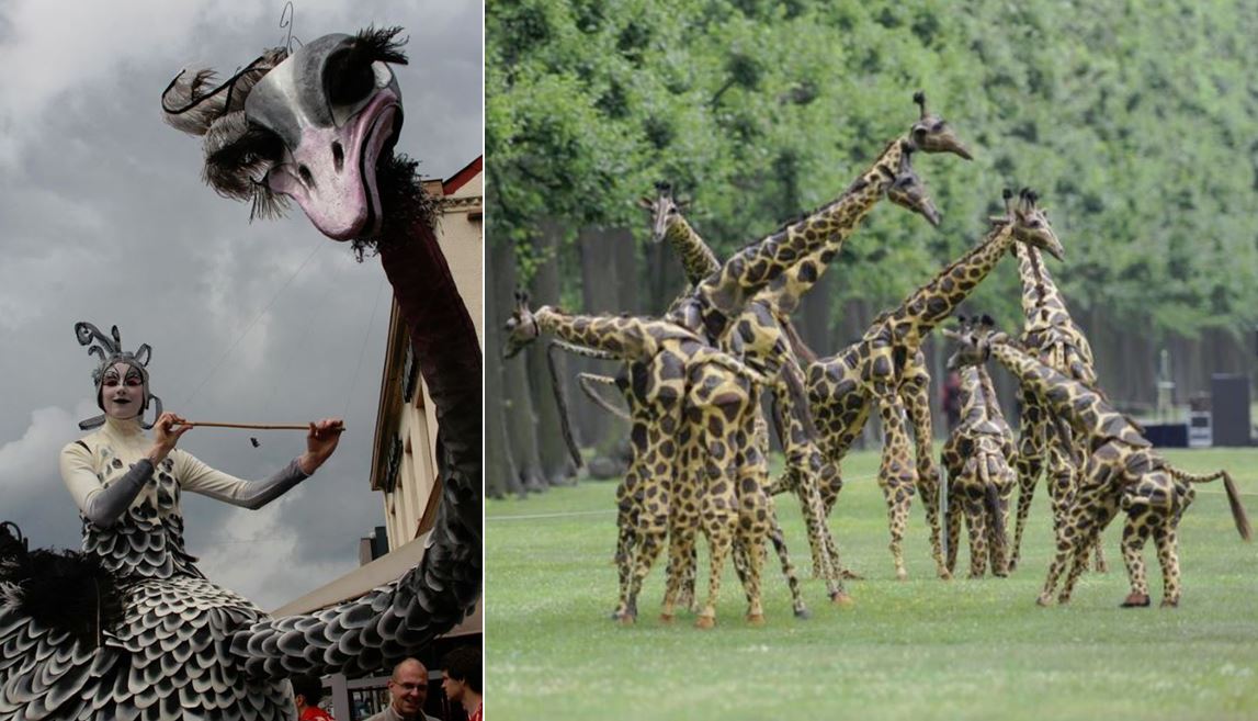 Teatrul La Pavana (Olanda) va prezenta Struții și Girafele